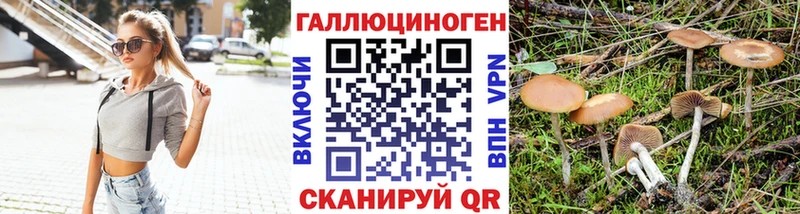 блэк спрут как зайти  Ивдель  Псилоцибиновые грибы MAGIC MUSHROOMS 